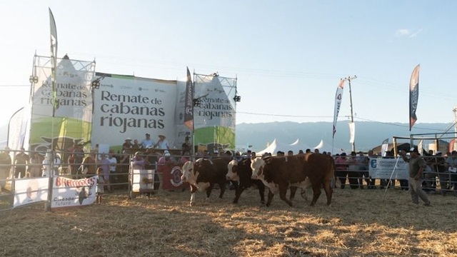 LA PROVINCIA PREPARA EL 4° REMATE DE CABAÑAS RIOJANAS 