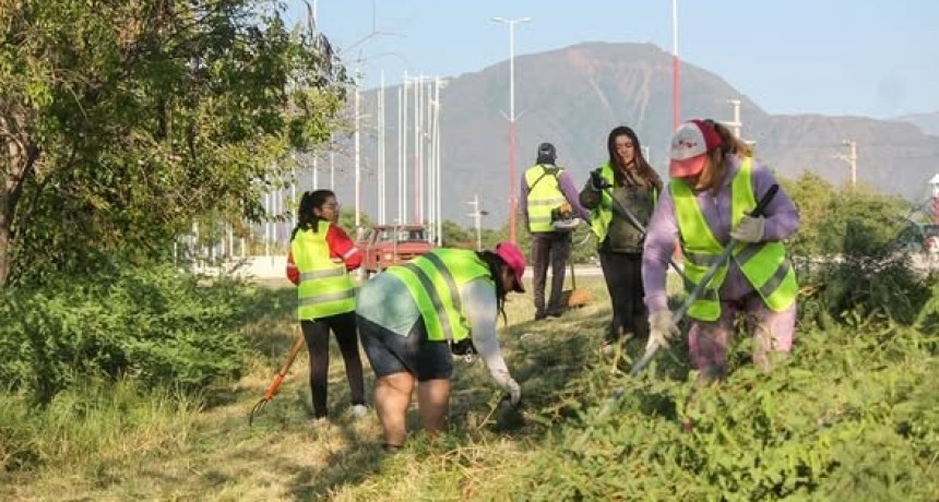 EL MUNICIPIO AVANZÓ CON LAS TAREAS DE LIMPIEZA EN LA AVENIDA FELIX DE LA COLINA 
