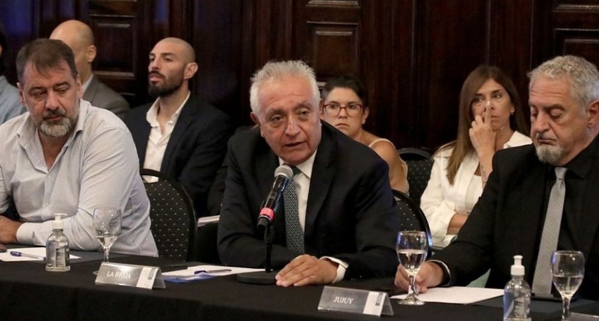 LA RIOJA PARTICIPÓ DEL PRIMER CONSEJO FEDERAL DE SALUD Y SOLICITÓ IMPULSO DE POLÍTICAS SANITARIAS ENTRE NACIÓN Y PROVINCIAS