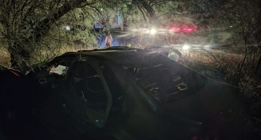 UN MATRIMONIO HERIDO TRAS CHOCAR CON UN CABALLO EN RUTA 38