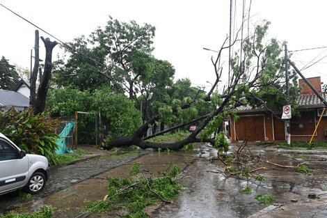 GRANIZO,LLUVIA Y CORTES DE LUZ EN BUENOS AIRES