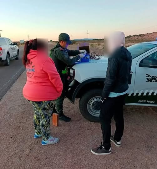 GENDARMER&Iacute;A INCAUT&Oacute; DROGA EN LA RUTA 9 