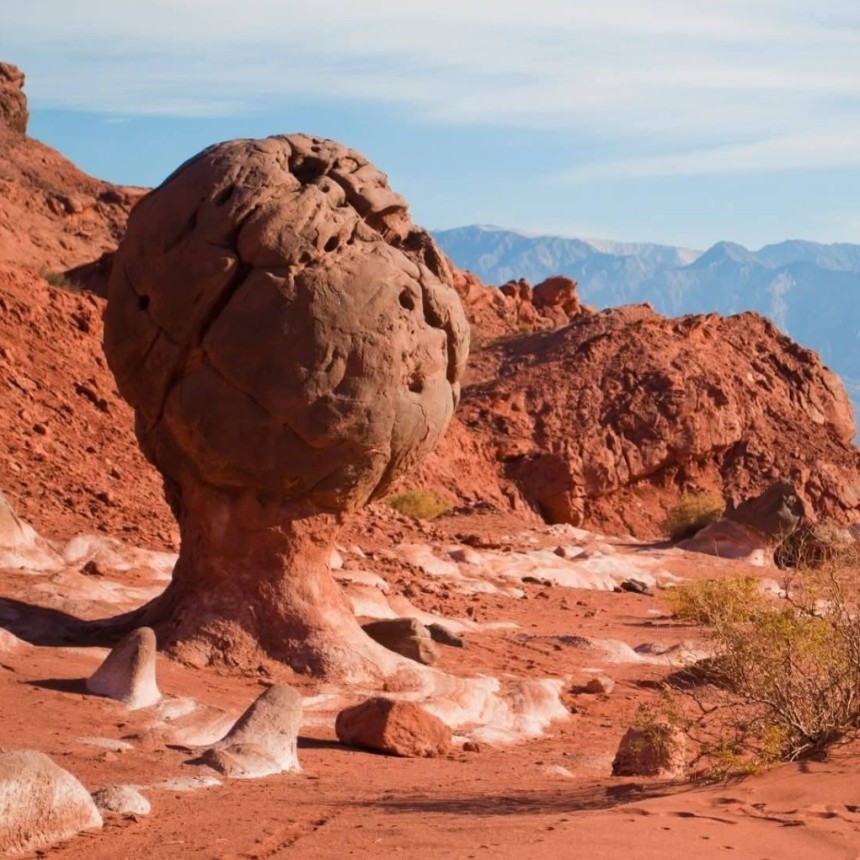 CAPRICHOS DE LA NATURALEZA: LA RIOJA TIENE SU PROPIA COPA DEL MUNDO Y EST&Aacute; EN GUANDACOL