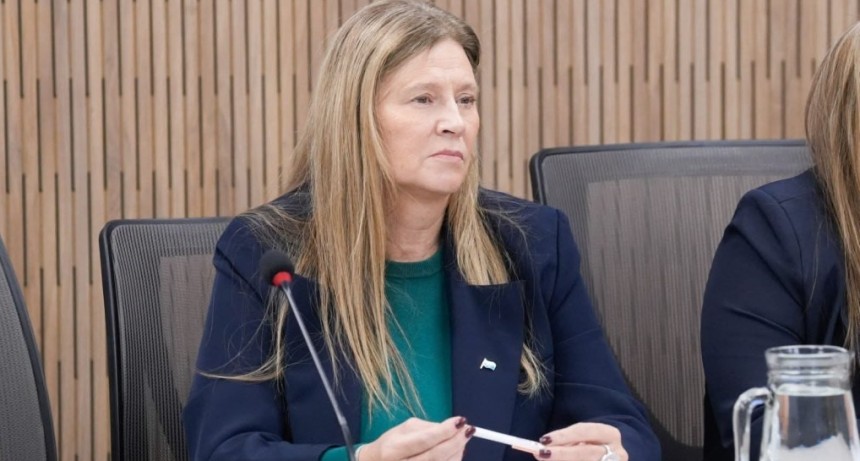 DIPUTADA NACIONAL GABRIELA PEDRALI IMPULSA UN PROYECTO DE TARIFA DIFERENCIADA DE ENERG&Iacute;A PARA EL NORTE GRANDE