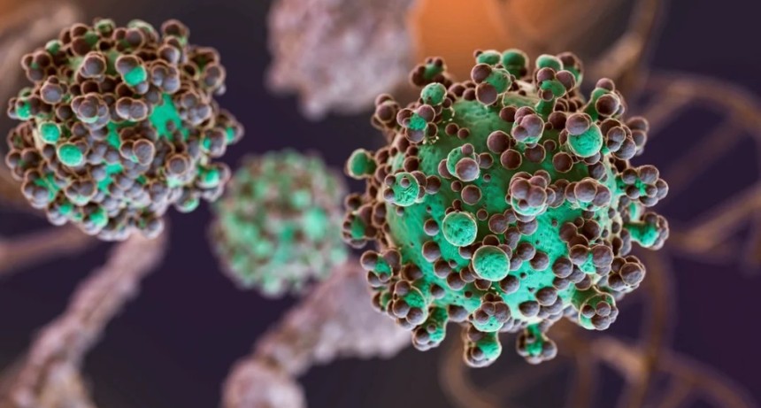 HANTAVIRUS: LAS RECOMENDACIONES PARA PREVENIR CONTAGIOS