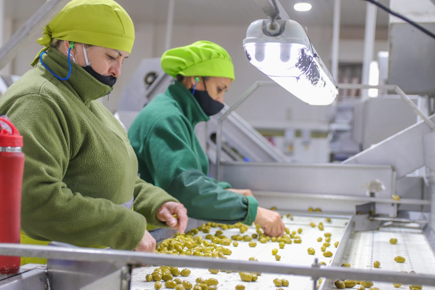 LAS PYMES ARGENTINAS GENERARON 140 MIL PUESTOS DE TRABAJO EN EL PRIMER TRIMESTRE DE 2023