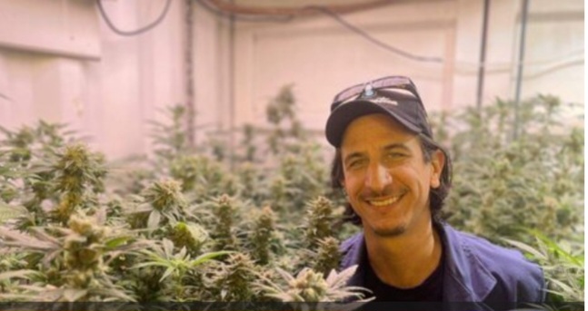 EL CANNABIS Y SUS AROMAS  EN LA COCINA GOURMET.