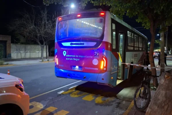 MURI&Oacute; UN HOMBRE EN PLENO VIAJE DE UN COLECTIVO DE RIOJA BUS