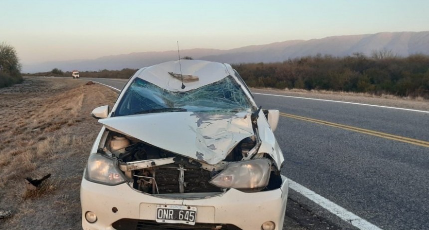 UNA MUJER HERIDA Y GRAVES DAÑOS EN UN AUTO QUE CHOCÓ CON UN CABALLO EN RUTA 38