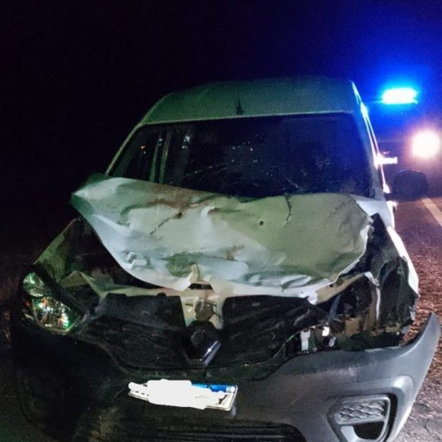 UN HOMBRE SALIÓ ILESO TRAS CHOCAR CON UN ANIMAL EN RUTA 40