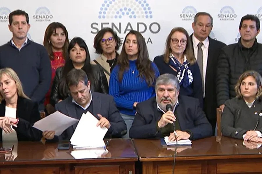 UNIÓN POR LA PATRIA CONVOCÓ A MOVILIZARSE POR LOS VETOS DE MILEI