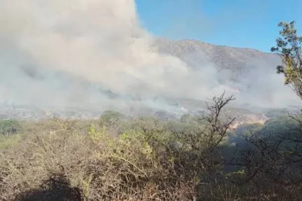 INCENDIO EN GUANCHIN: LOS FOCOS PRINCIPALES EST&Aacute;N SOFOCADOS