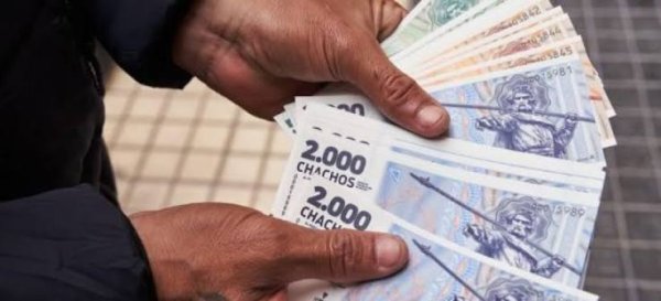 LOS RESULTADOS DE LOS CHACHOS RESPALDAN SU RELANZAMIENTO COMO HERRAMIENTA EN LA ECONOMIA RIOJANA