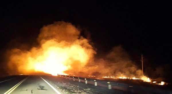 SOFOCARON INCENDIOS FORESTALES EN EL INTERIOR DE LA PROVINCIA