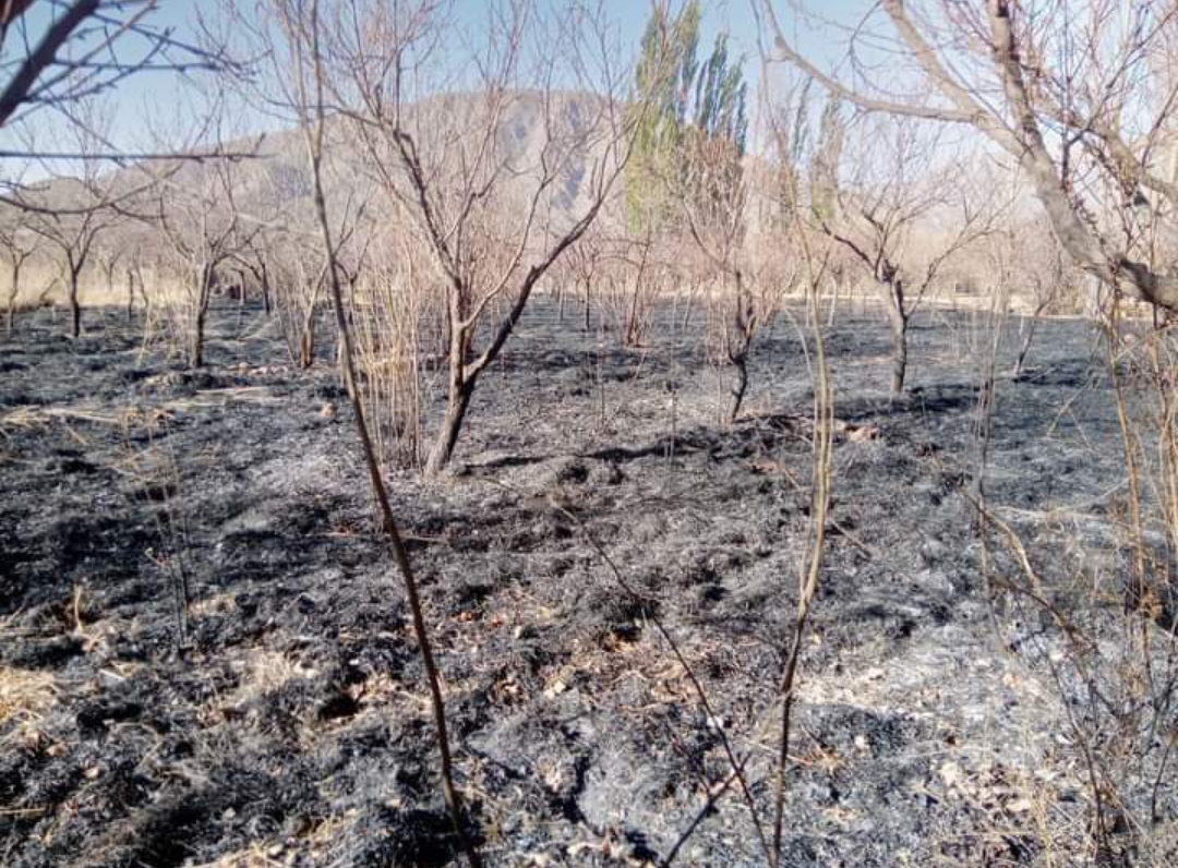 PRODUCTOR PERDIÓ TODO CULPA UN INCENDIO PROVOCADO POR TRABAJADORES MUNICIPALES