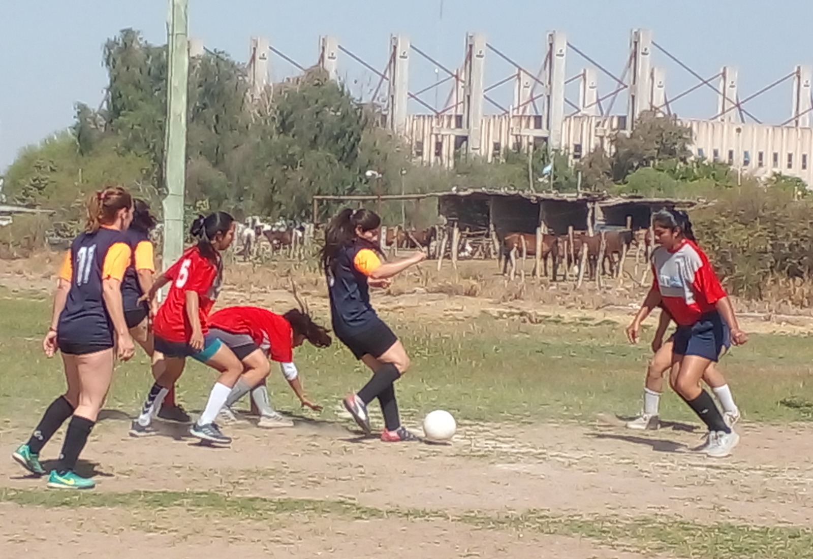 JEFATURA NO PARA DE GANAR Y MANTIENE LA CIMA EN EL INTER FUERZAS