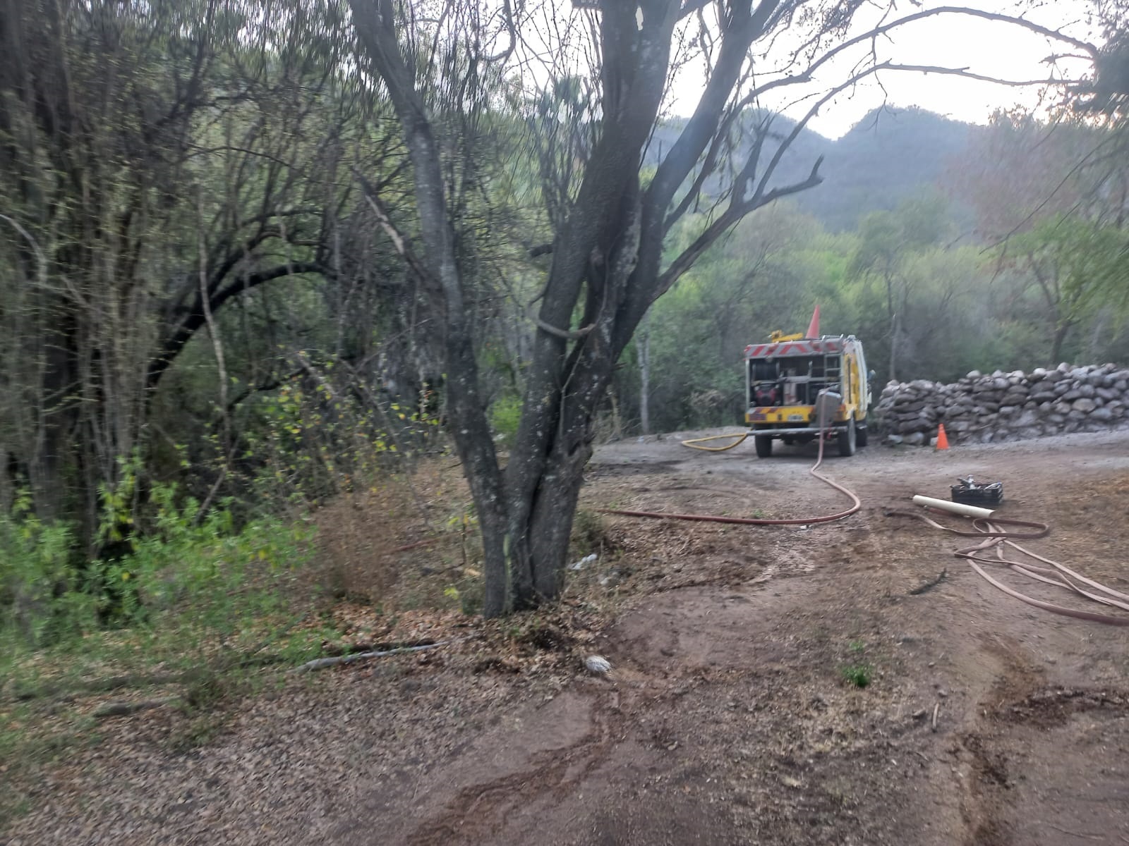 CONTROLARON UN INCENDIO FORESTAL EN LA ZONA DE JUAN CARO