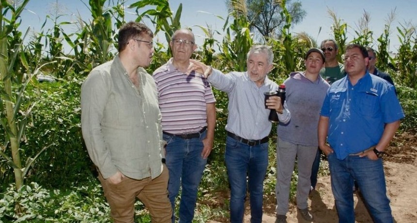 PRODUCIR MÁS ALIMENTOS ES TAMBIÉN GENERAR MÁS TRABAJO RIOJANO Y UN ESTADO PRESENTE ES LA CLAVE